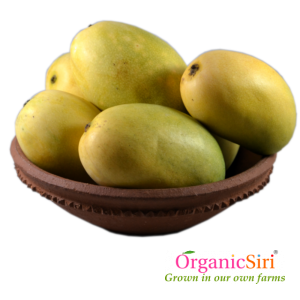 Organic Cherukurasalu