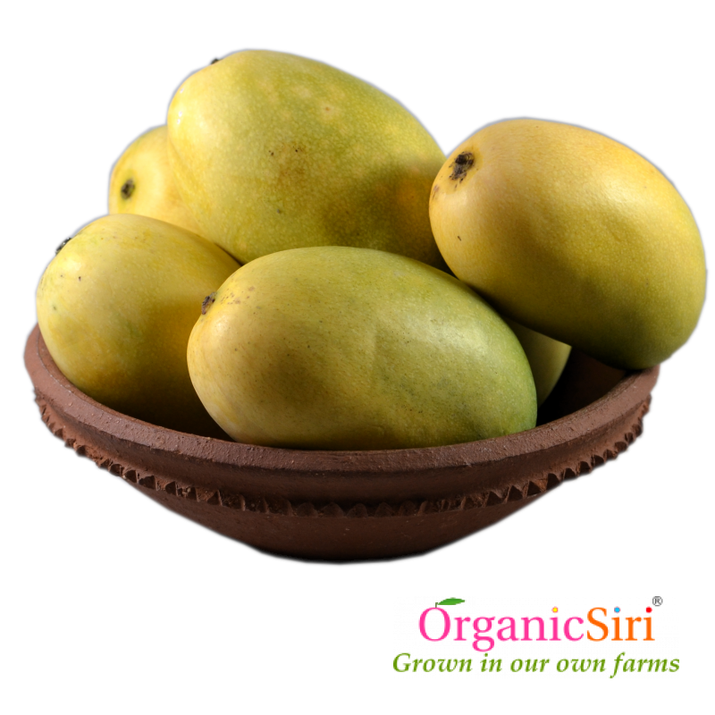 Mango Cheruku Rasalu 1 Organic Cherukurasalu