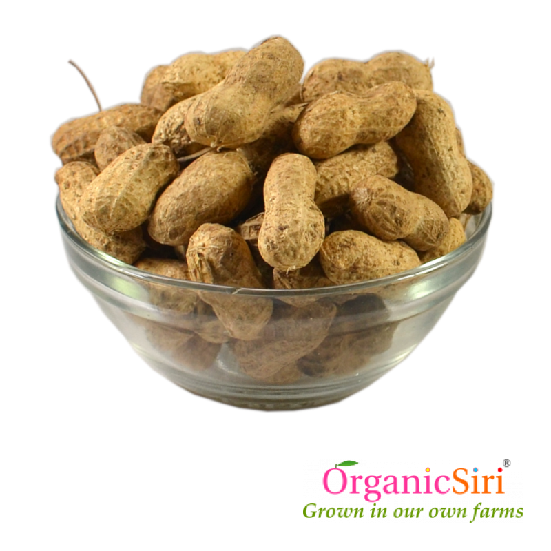 Groundnut Dry Pods 500g 1 Organic Groundnut Dry Pods