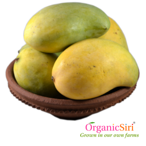 Organic Peddarasalu Mango