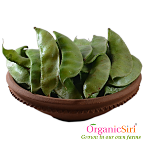 Organic Thappada Chikkudu