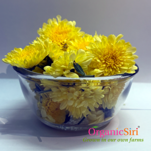 Organic Chamanthi
