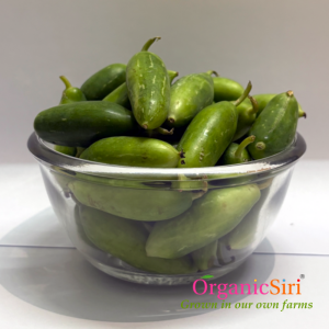 Organic Dondakaya